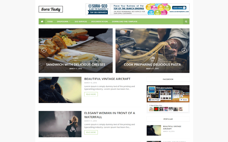 Sora Tasty Responsive Amazing Blogger Templatee