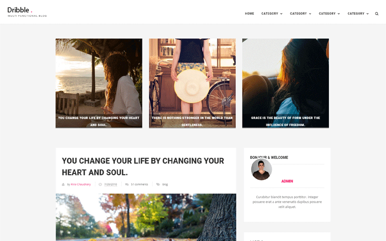 Dribble Simple Lifestyle Personal Blogger Template