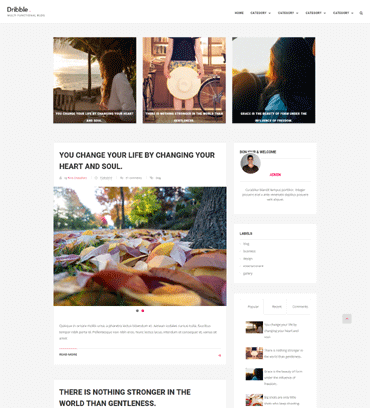 https://templatelib.com/wp-content/uploads/2017/01/dribble-blogspot-template.png
