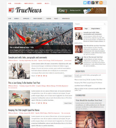 https://templatelib.com/wp-content/uploads/2017/04/truenews-blogspot-template.png