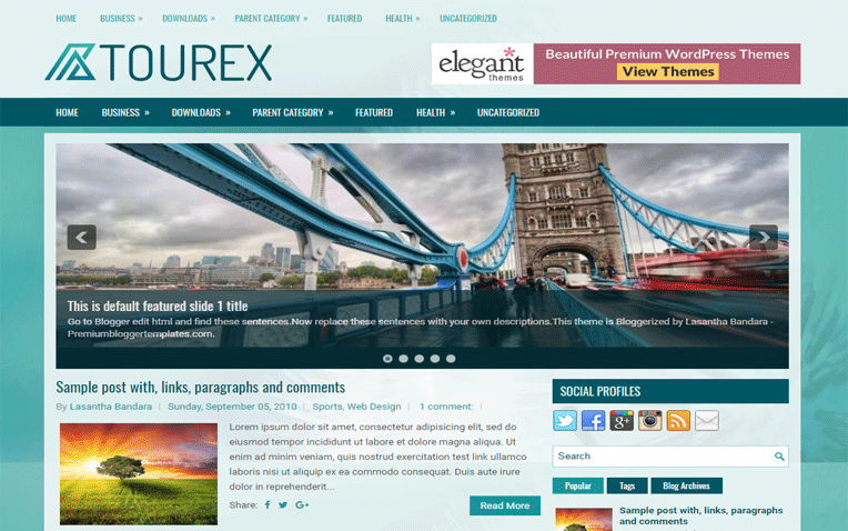Tourex Elegant Clean Professional Blogger Template